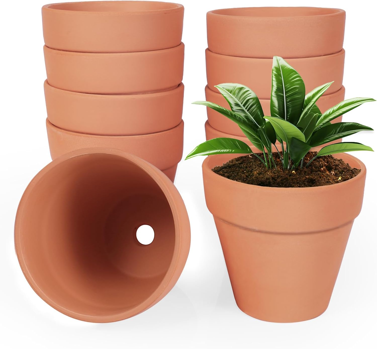 24 Pack 4 Inches Terracotta Plant Pots, Terra Cotta Planter with Drainage  Holes, | eBay