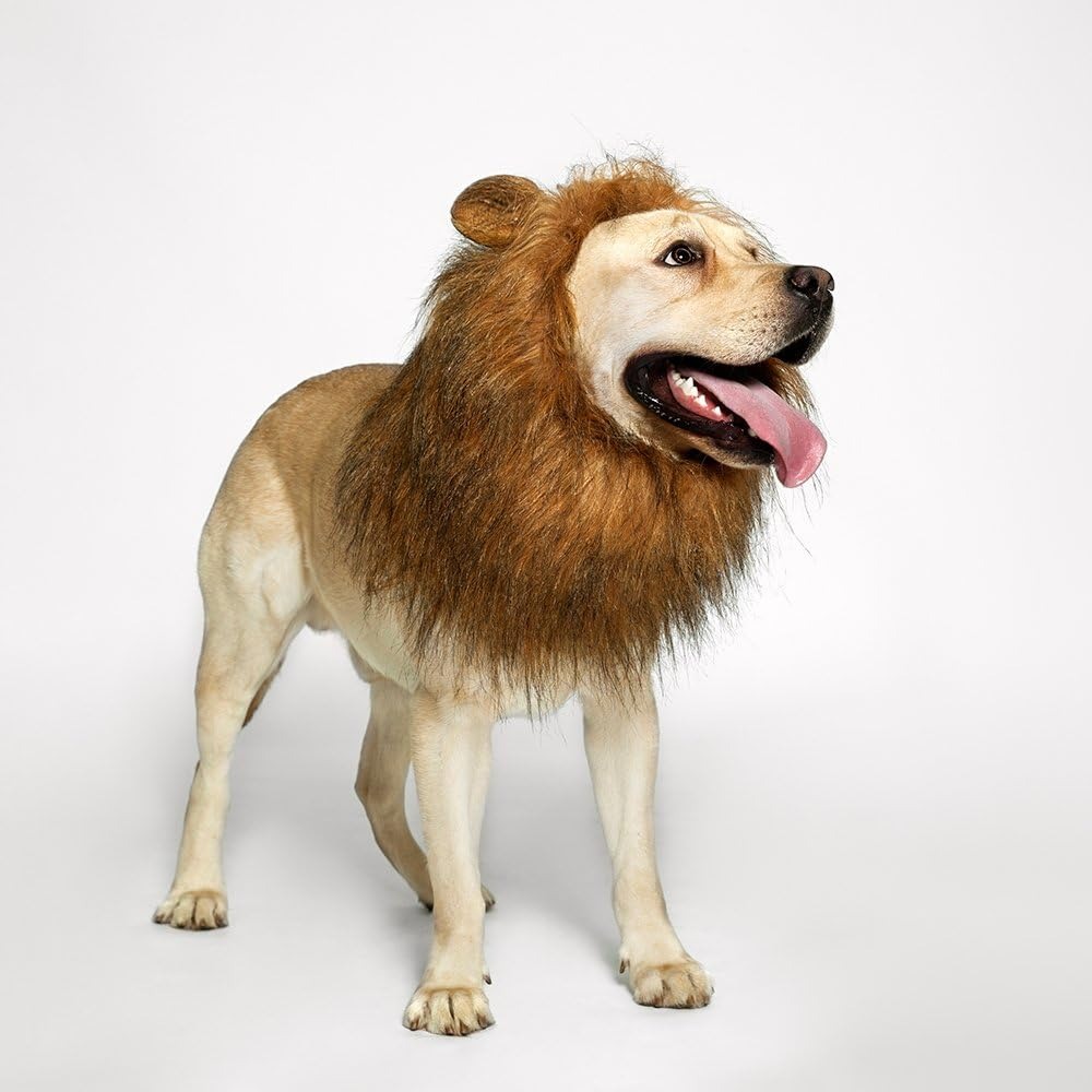 Realistic & Funny Lion Mane for Dogs Complementary Lion Mane for Dog Costumes for Medium to Large Sized Dogs Costumes for Animals