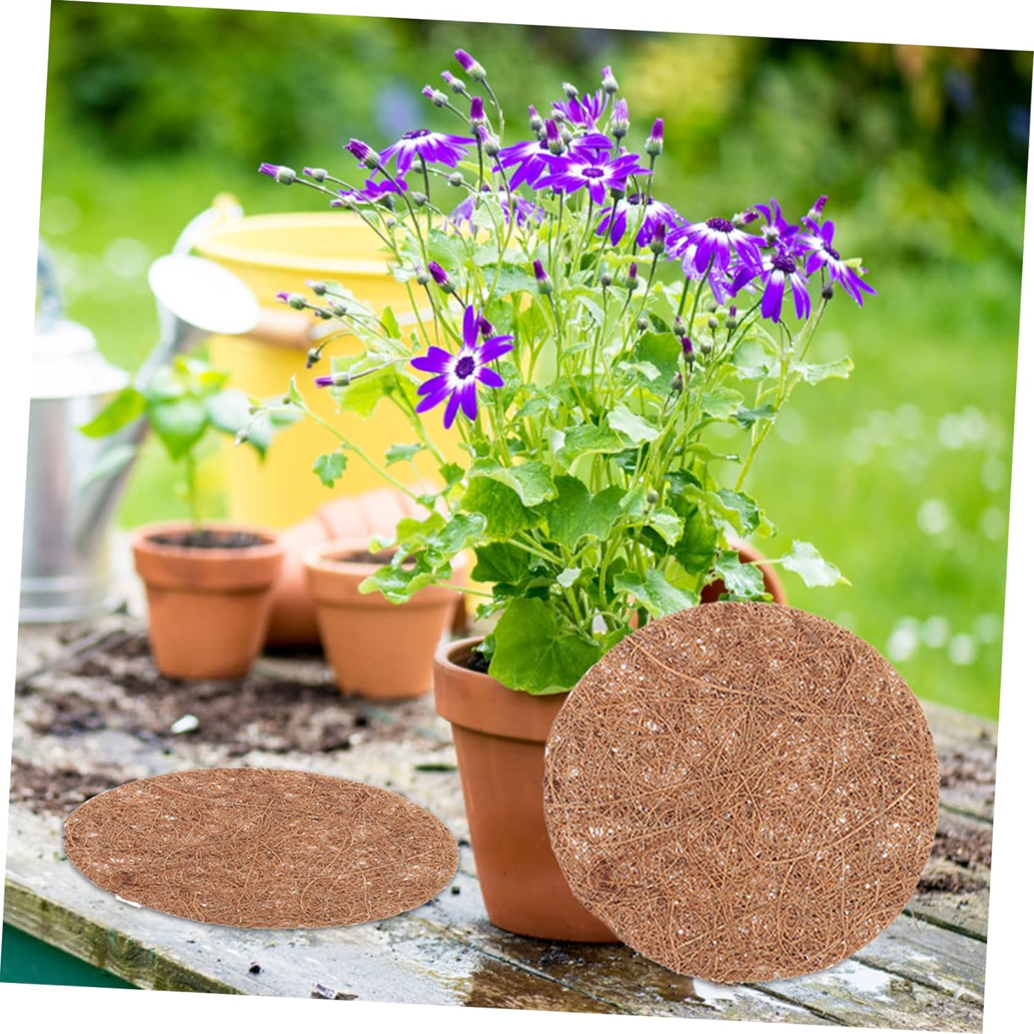 CIYODO 12Pcs Coco Coir Liner for Hanging Baskets Natural Coconut Fiber Basket... - Picture 5 of 12