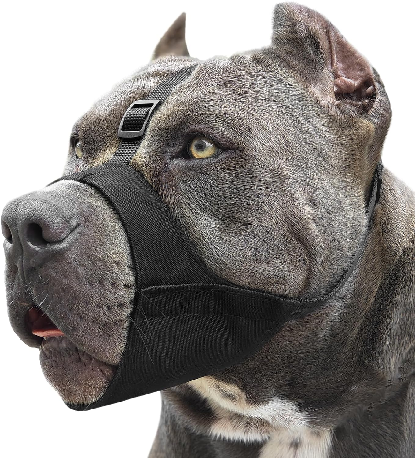 Pitbull Muzzle, Soft Dog Muzzle with Anti-Slip Strap for American