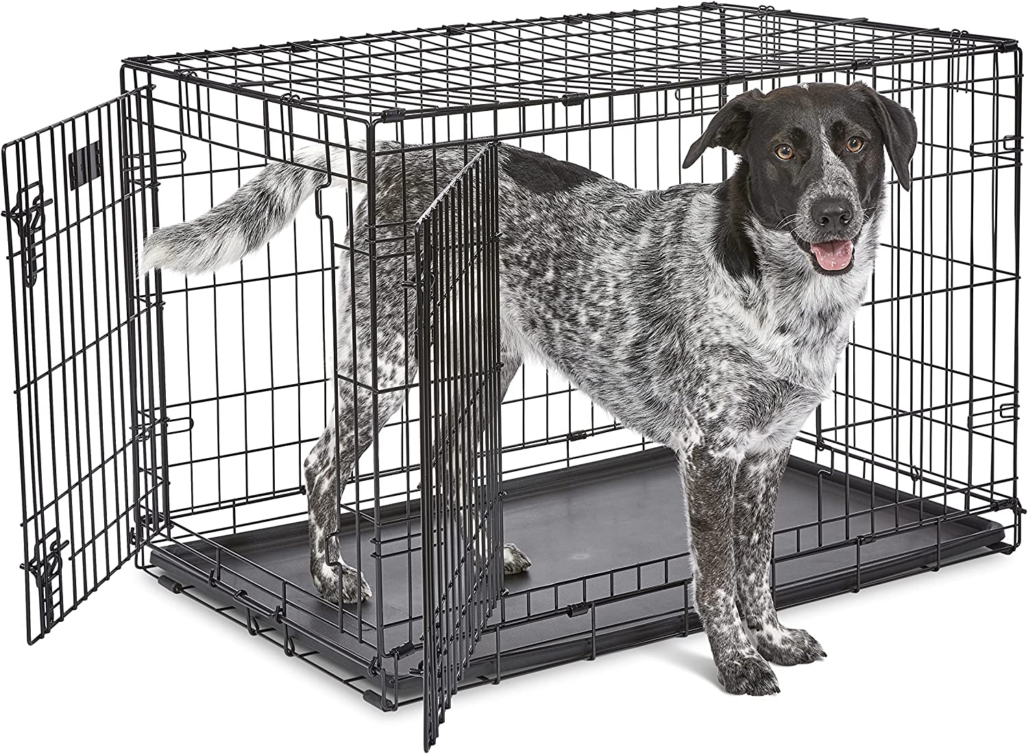 Midwest Homes for Pets Newly Enhanced Single & Double Door Icrate Dog Crate, Includes Leak-Proof Pan, Floor Protecting Feet, Divider Panel & New Patented Features