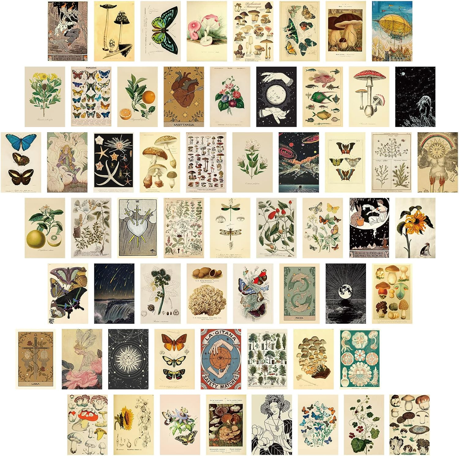 60 PCS Vintage Collection Postcard Set Retro Style Botanical Butterfly Mushroom Nature and Ephemera Postcards for DIY Card Paper
