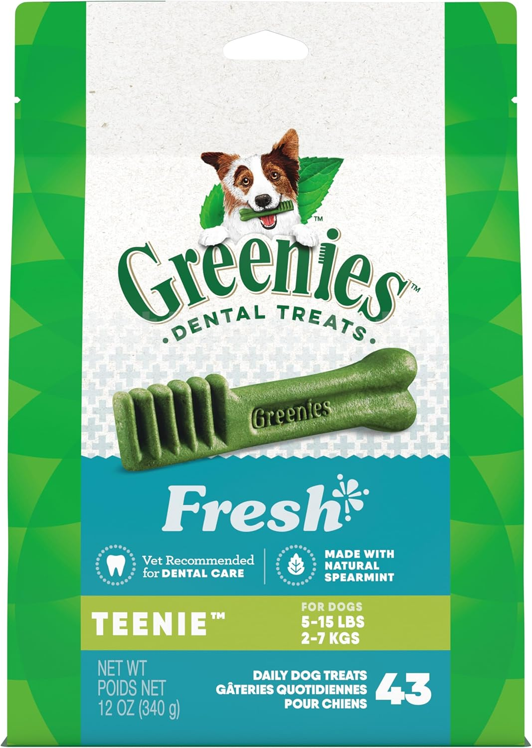 homemade greenies dog treats