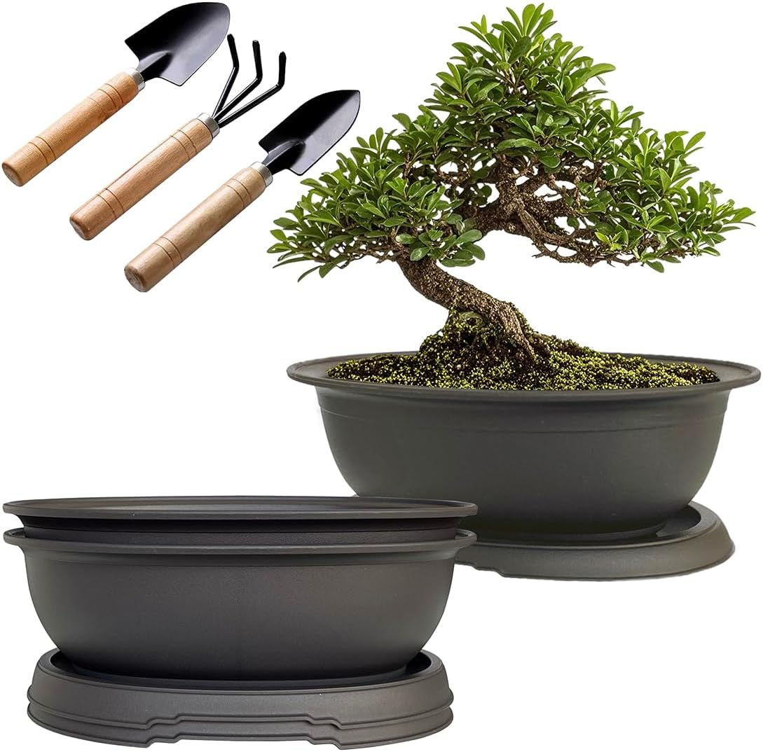 3 Pack Oval Bonsai Pot with Drainage Tray, Matte Finish Plastic Bonsai Growing Planters with Tools for Home Garden Plant Container (9.1