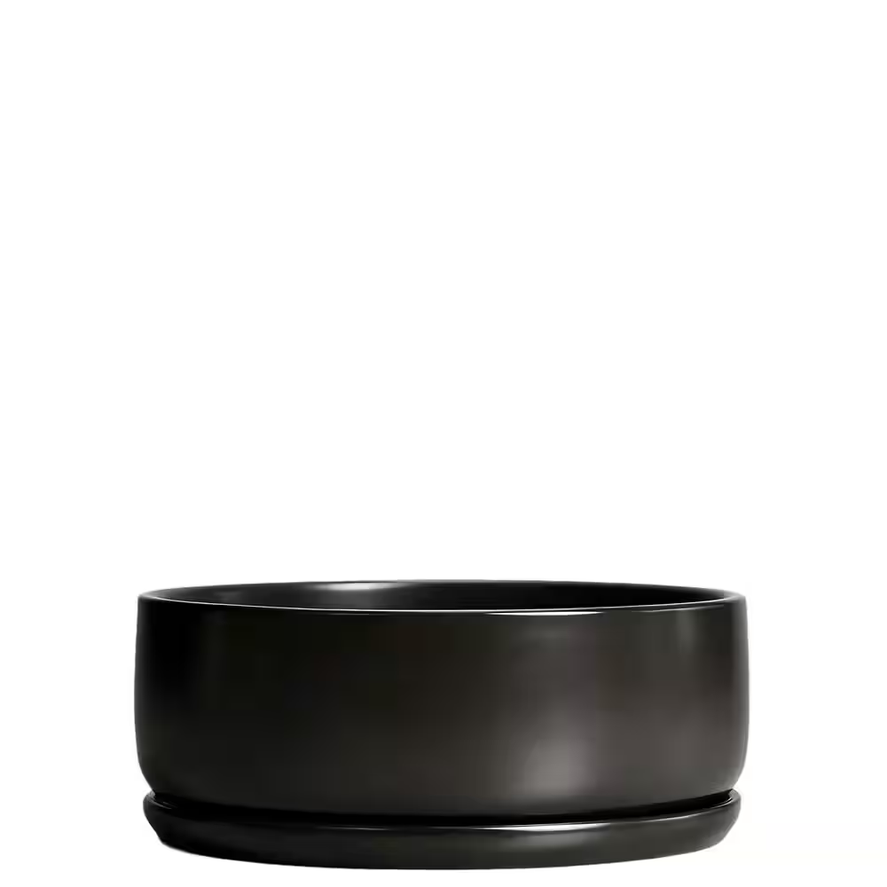 2 Qt. (8.0 In. W X 2.8 In. H) Ceramic Planter Pot, Modern Flower Cactus Herb Big Planter with Removable Saucer, Black