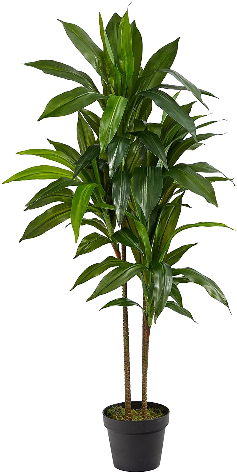 48" Dracaena Silk Plant (Real Touch) Green | eBay